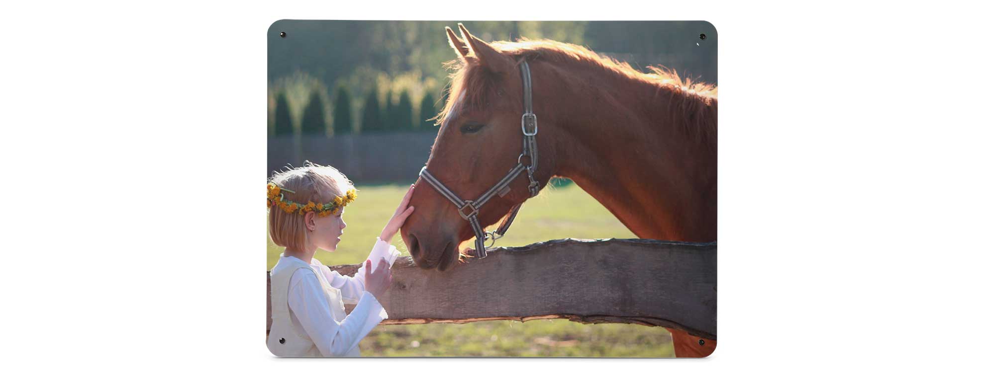 example of a Create Your Own magnetic notice board featuring a girl with her pet horse