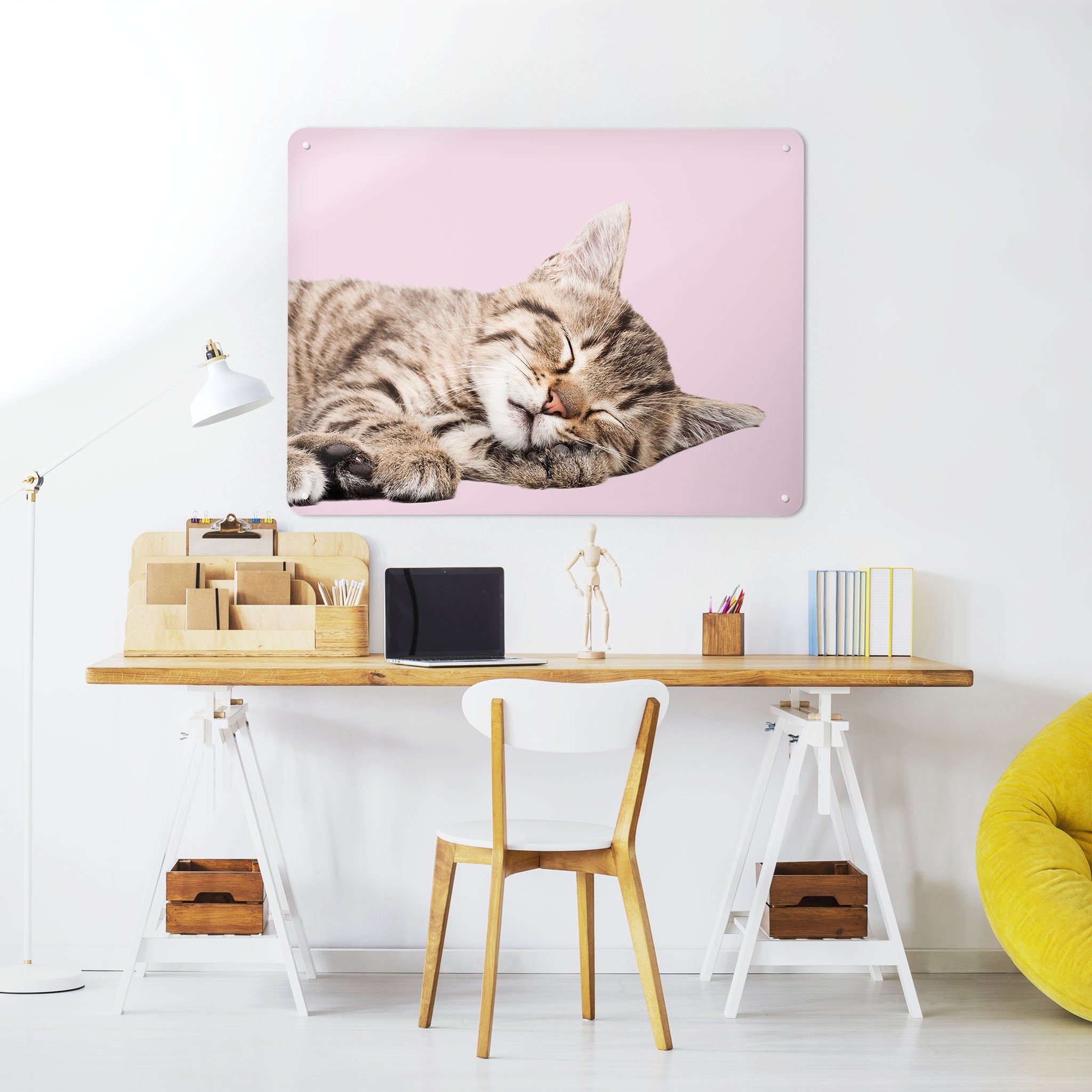 A desk in a workspace setting in a white interior with a magnetic metal wall art panel showing a photograph of a sleeping tabby kitten on a pink background