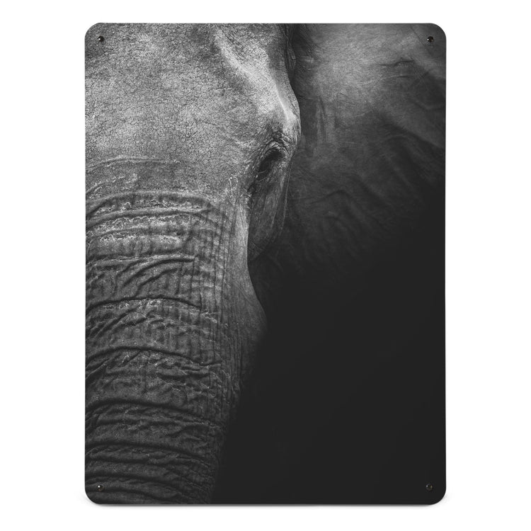 A large magnetic notice board by Beyond the Fridge with a black and white close up photograph of the face of an elephant