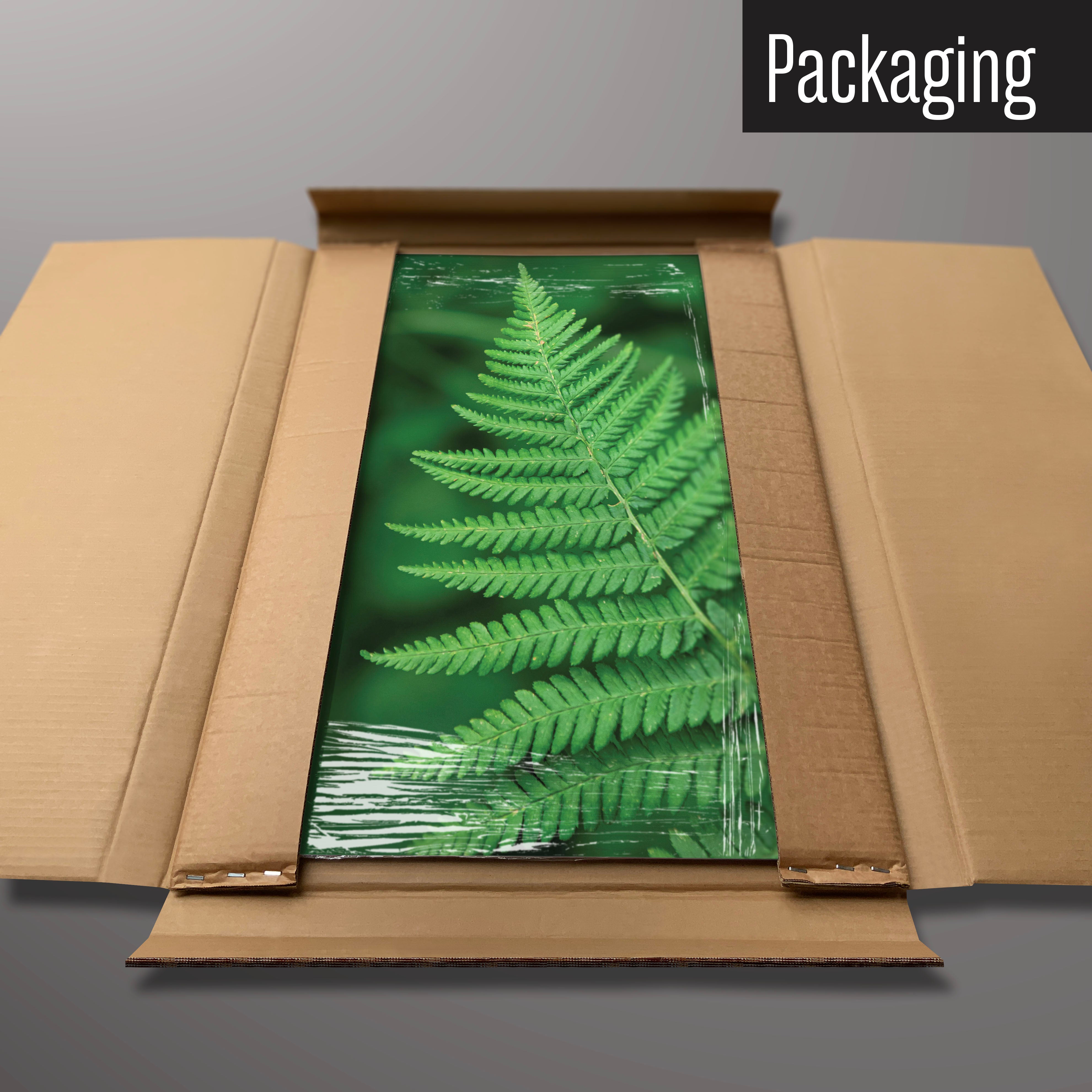 A fern photographic magnetic board in it’s cardboard packaging