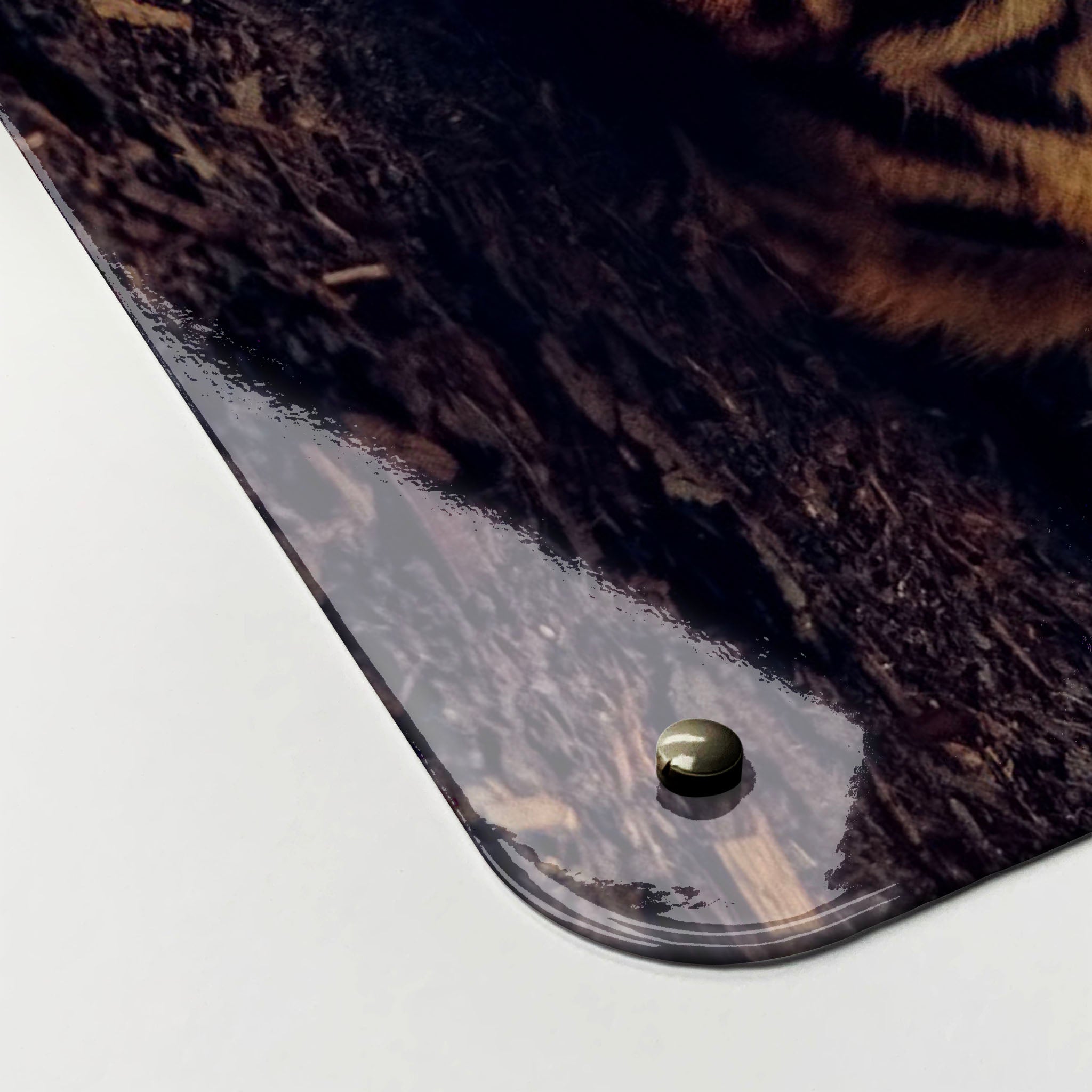 The corner detail of a tiger photographic magnetic board to show it’s high gloss surface