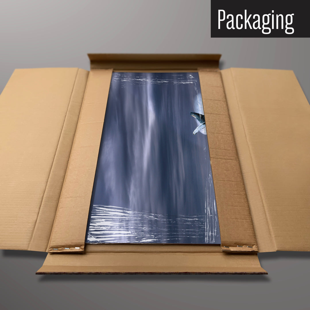 A whale magnetic board in it’s cardboard packaging