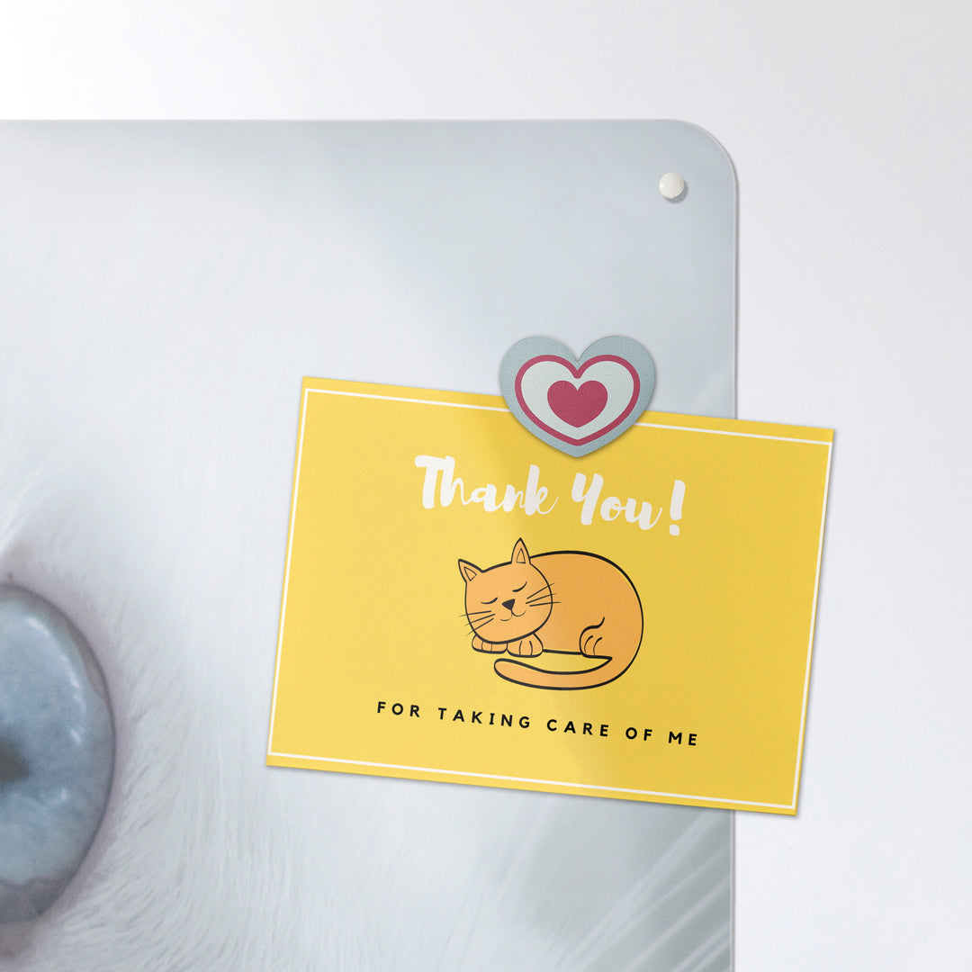 A postcard attached with a heart fridge magnet on a white cat photographic magnetic board or metal wall art panel