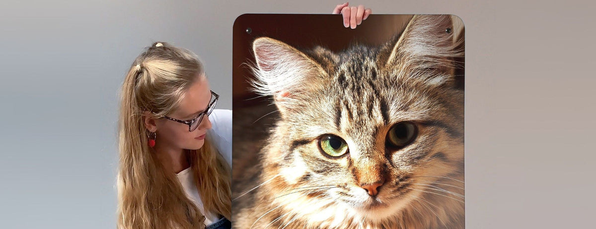 A woman looking at a large magnetic board printed with a photograph of a tabby cat