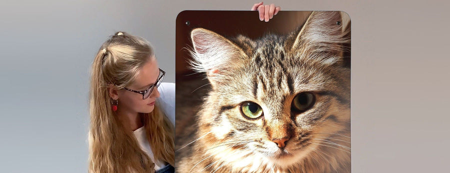 A woman looking at a large magnetic board printed with a photograph of a tabby cat