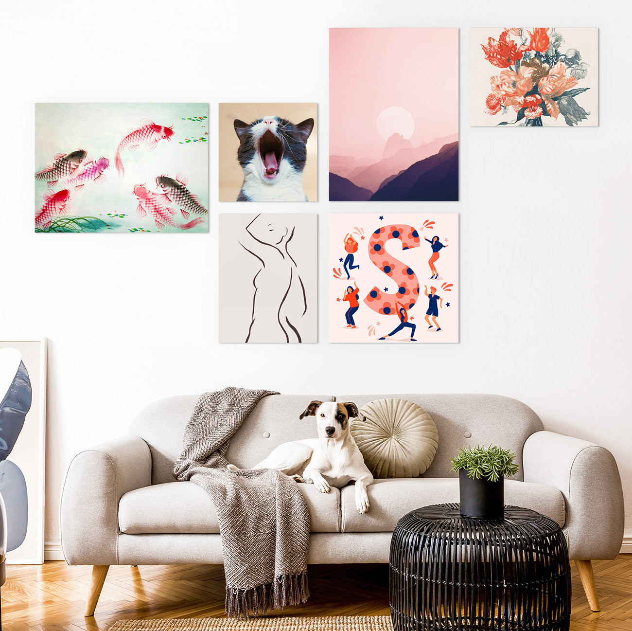 A dog-on-sofa with a gallery wall of creative artwork on metal poster display prints