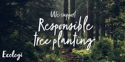 Ecologi - We support responsible tree planting banner