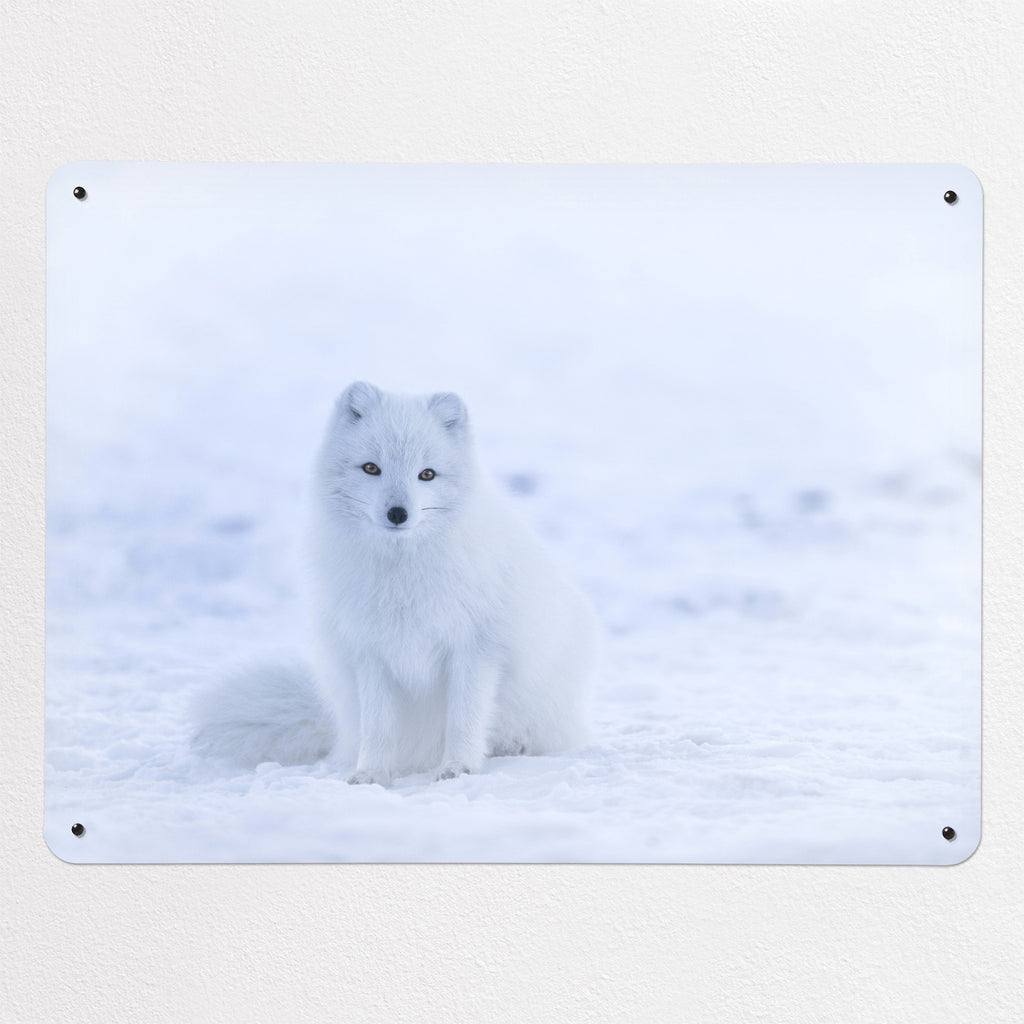 Artic Fox magnetic notice board, large size, 100 × 75 cm