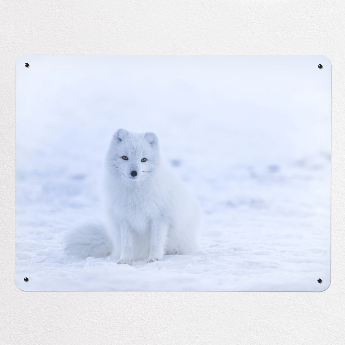 Artic Fox magnetic notice board, large size, 100 × 75 cm