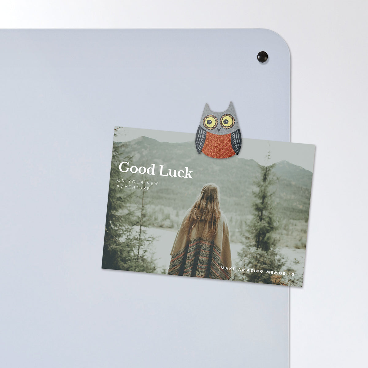 A postcard held by a fridge magnet on the Artic Fox magnetic notice board