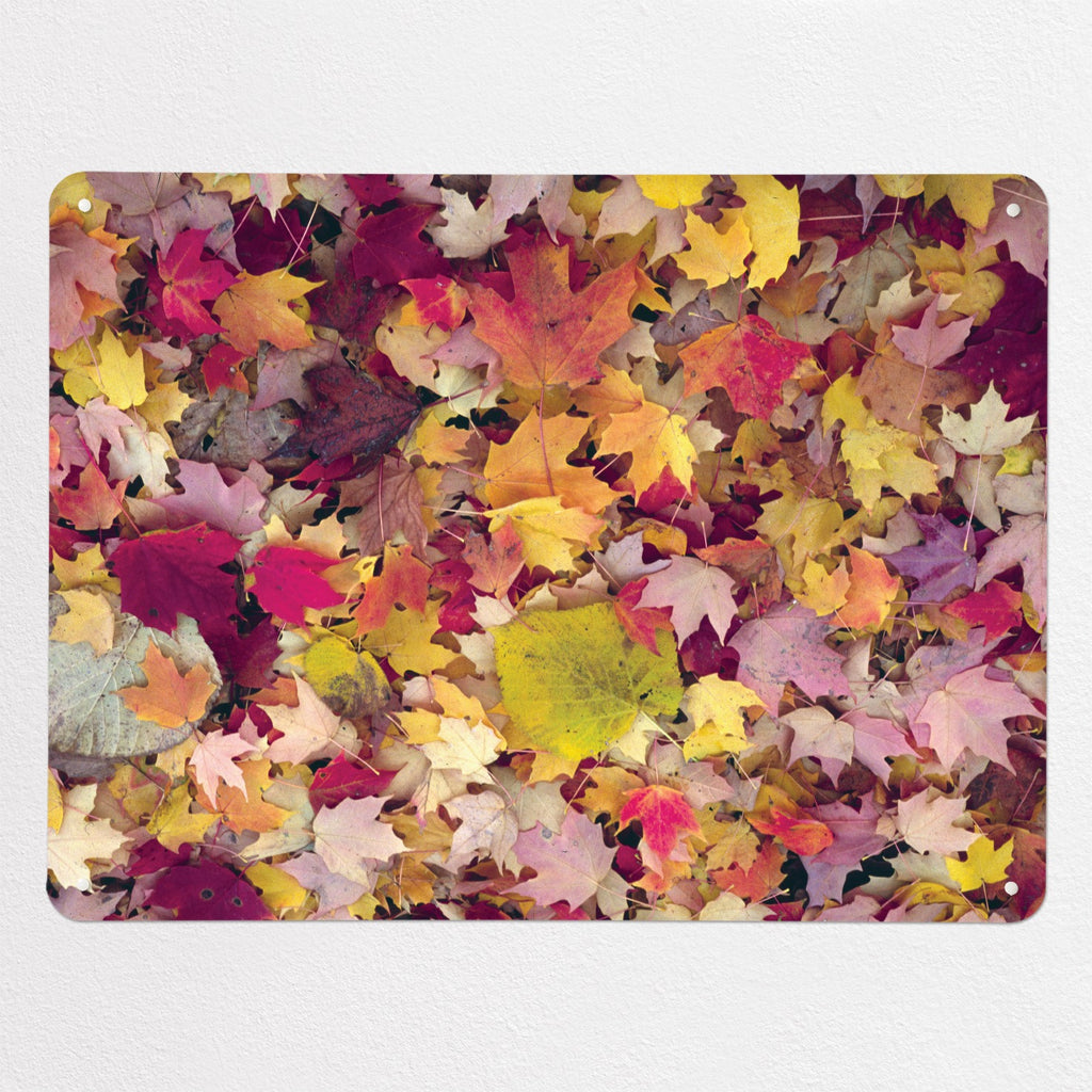 Autumn Leaves magnetic notice board in Autumn Leaves, large size, 100 × 75 cm