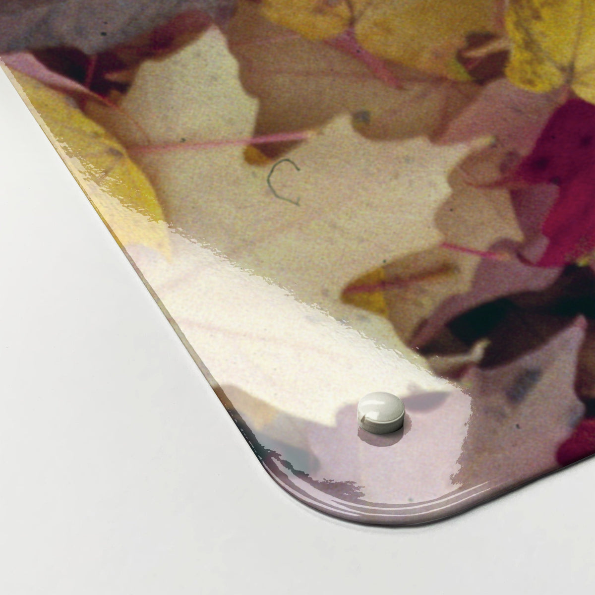 Close-up of the corner of the Autumn Leaves magnetic notice board in Autumn Leaves, showing the gloss finish and a screw cap