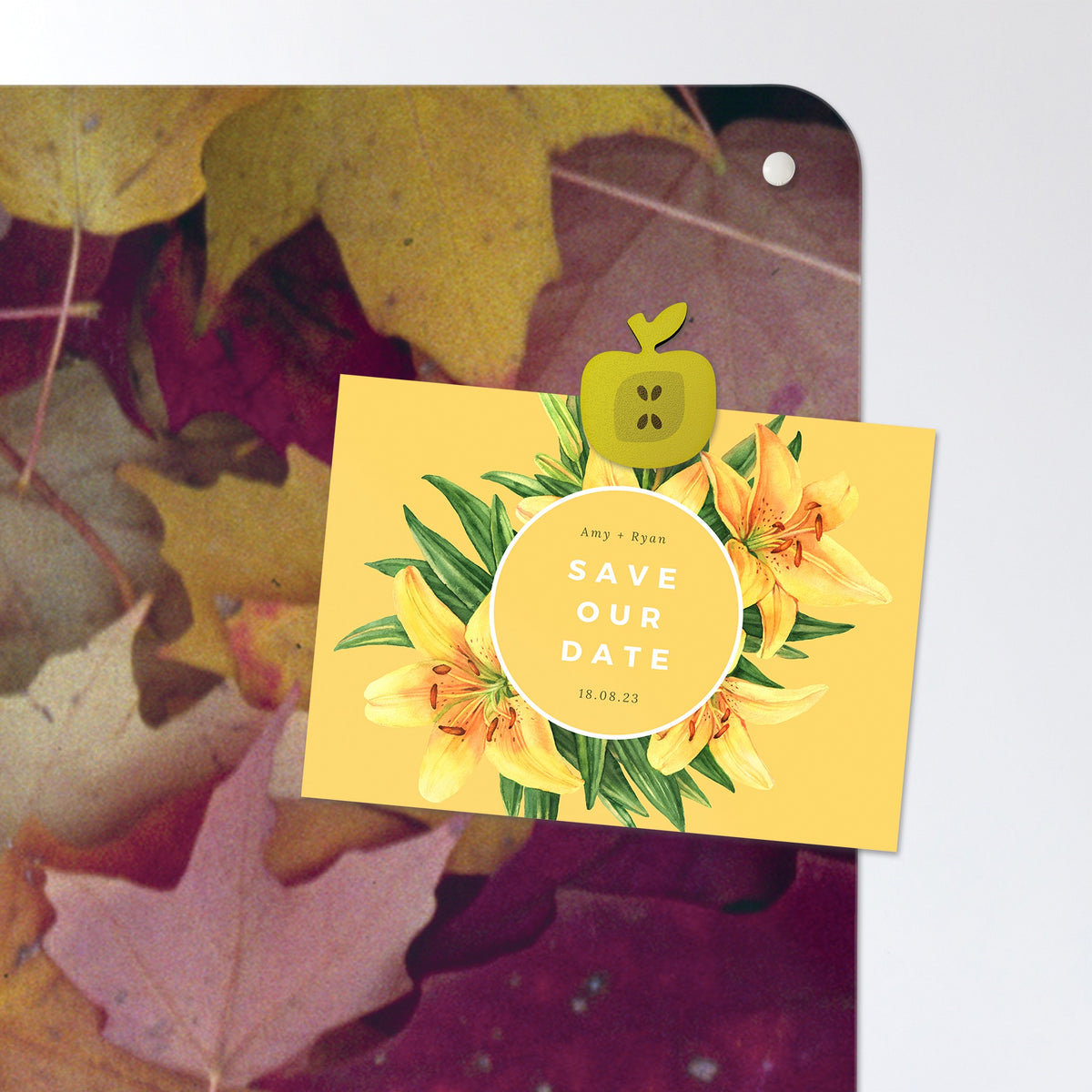 A postcard held by a fridge magnet on the Autumn Leaves magnetic notice board in Autumn Leaves