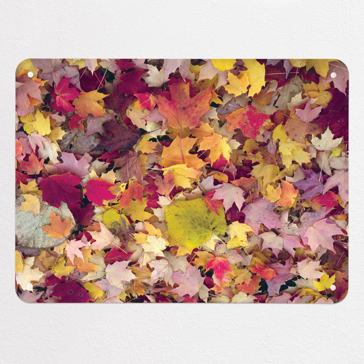 Autumn Leaves magnetic notice board in Autumn Leaves, medium size, 75 × 55 cm