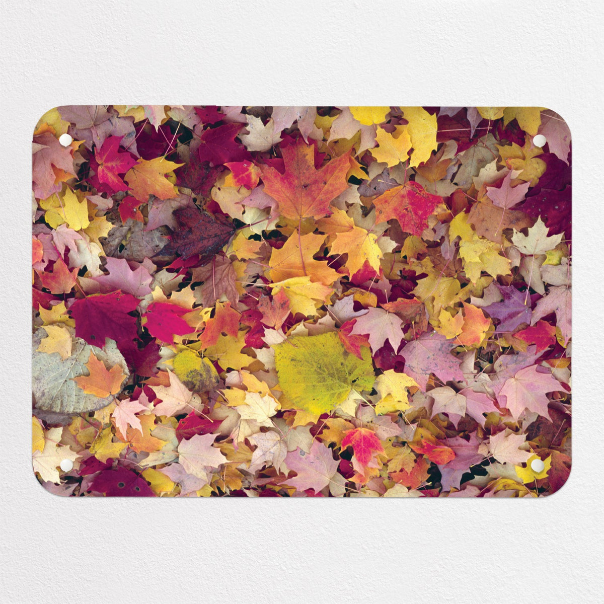 Autumn Leaves magnetic notice board in Autumn Leaves, small size, 55 × 40 cm