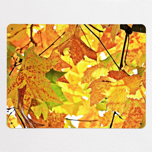 Autumn Tree magnetic notice board, large size, 100 × 75 cm