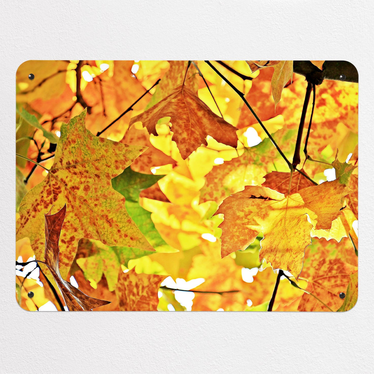 Autumn Tree magnetic notice board, medium size, 75 × 55 cm