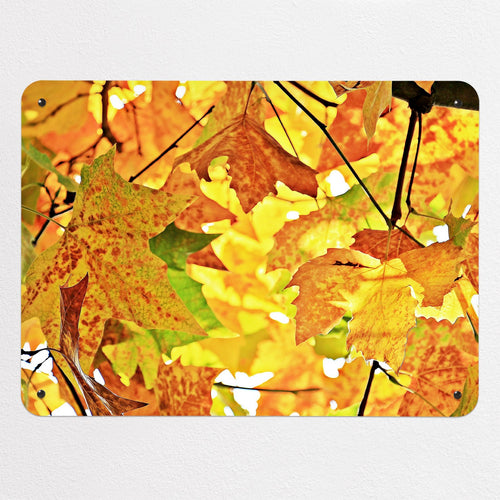Autumn Tree magnetic notice board, medium size, 75 × 55 cm