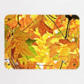 Autumn Tree magnetic notice board, small size, 55 × 40 cm
