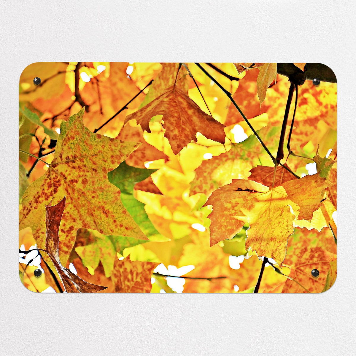 Autumn Tree magnetic notice board, small size, 55 × 40 cm