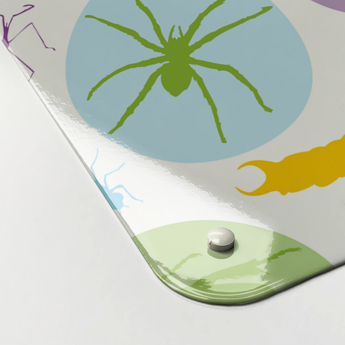 Close-up of the corner of the Bugs Bright magnetic notice board, showing the gloss finish and a screw cap