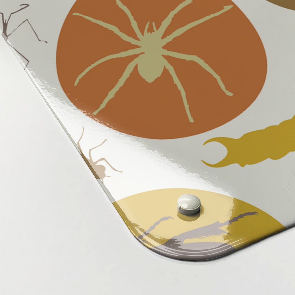 Close-up of the corner of the Bugs Earthy magnetic notice board, showing the gloss finish and a screw cap