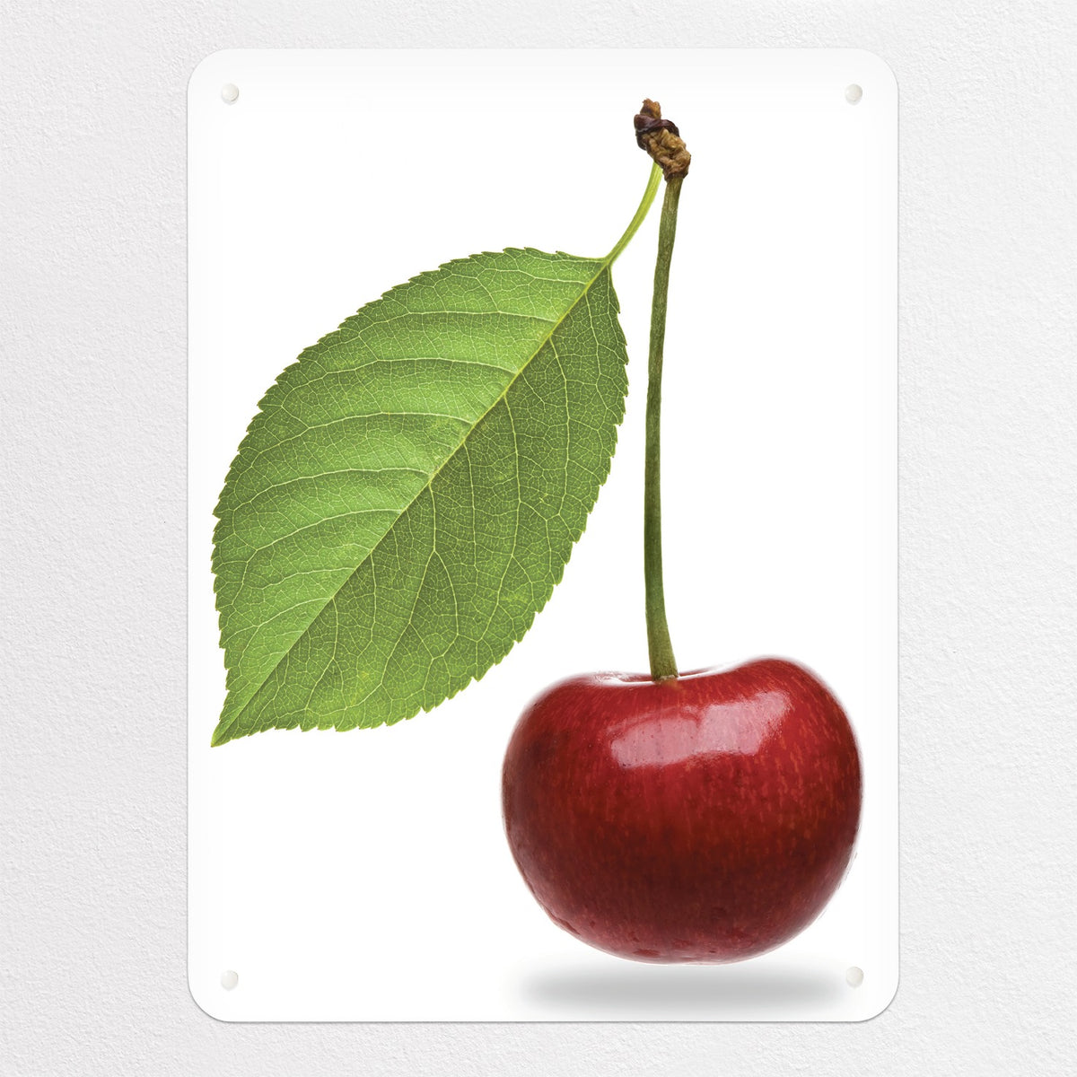 Cherry magnetic notice board in Cherry, medium size, 55 × 75 cm