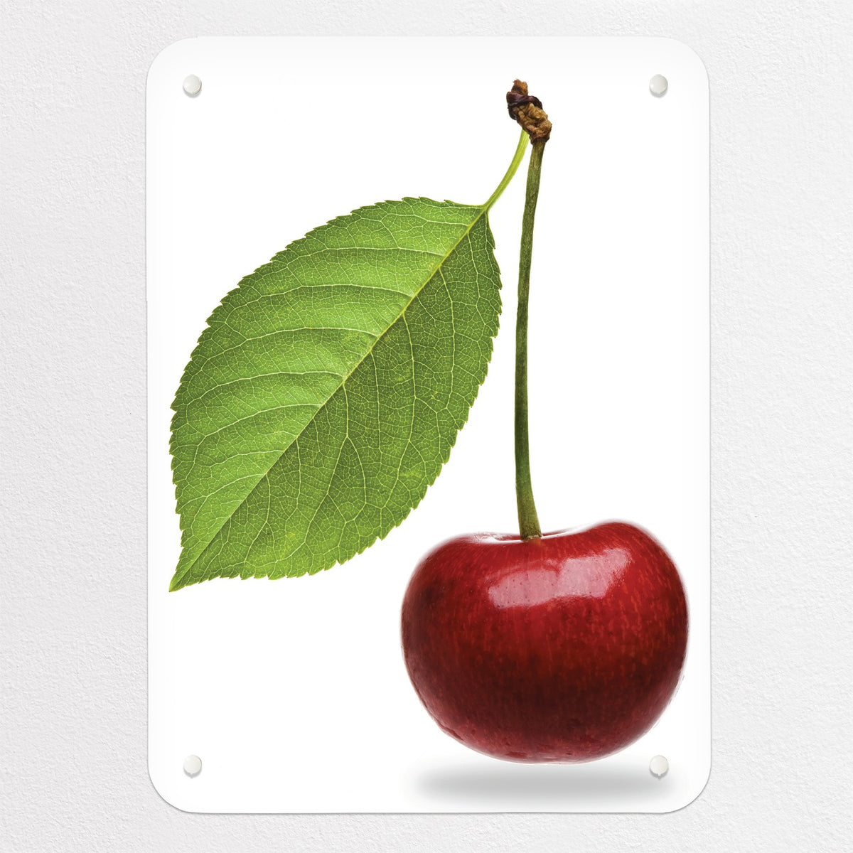 Cherry magnetic notice board in Cherry, small size, 40 × 55 cm