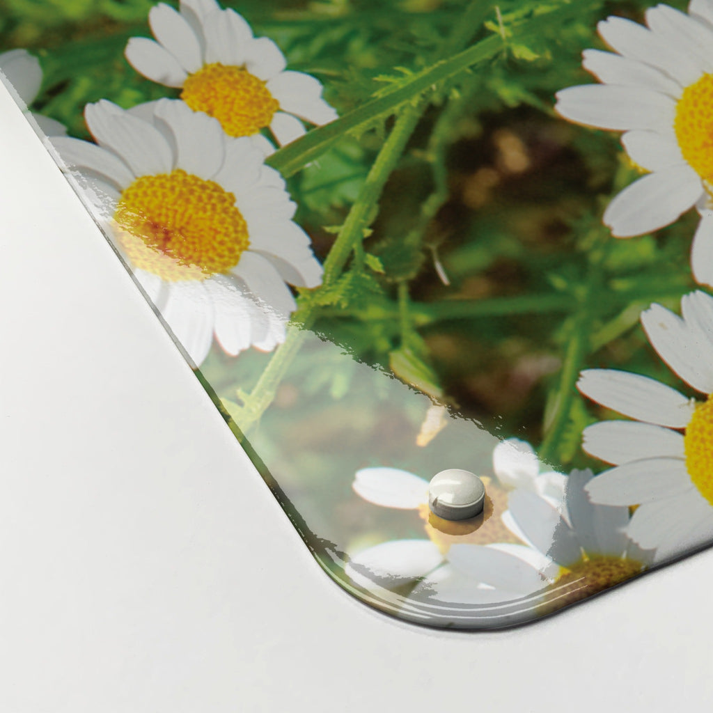 Close-up of the corner of the Daisies magnetic notice board in Daisies, showing the gloss finish and a screw cap