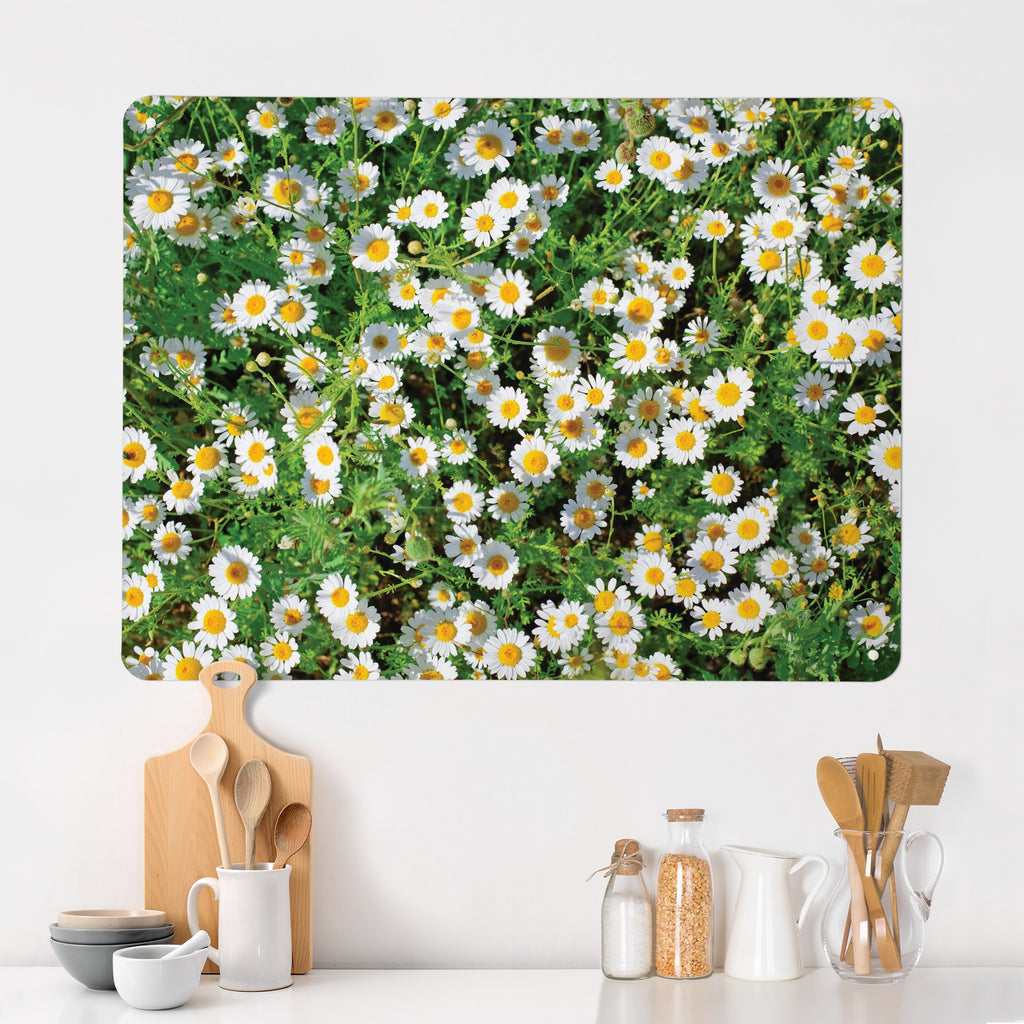 Daisies magnetic notice board in Daisies on a kitchen wall