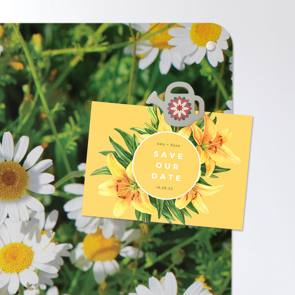 A postcard held by a fridge magnet on the Daisies magnetic notice board in Daisies