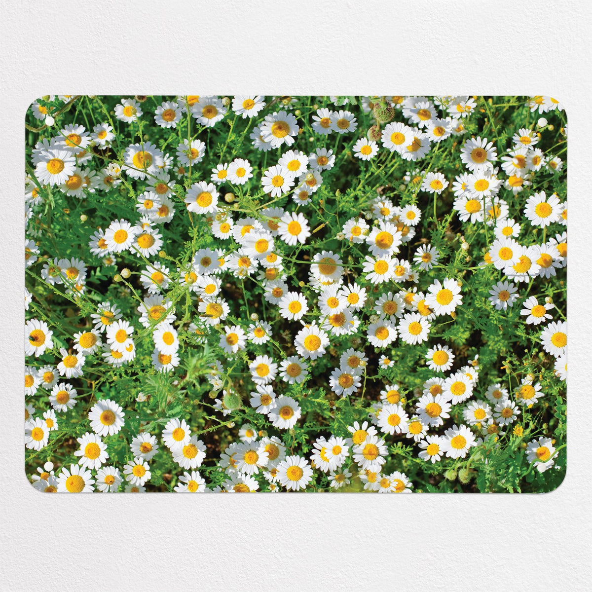 Daisies magnetic notice board in Daisies, medium size, 75 × 55 cm