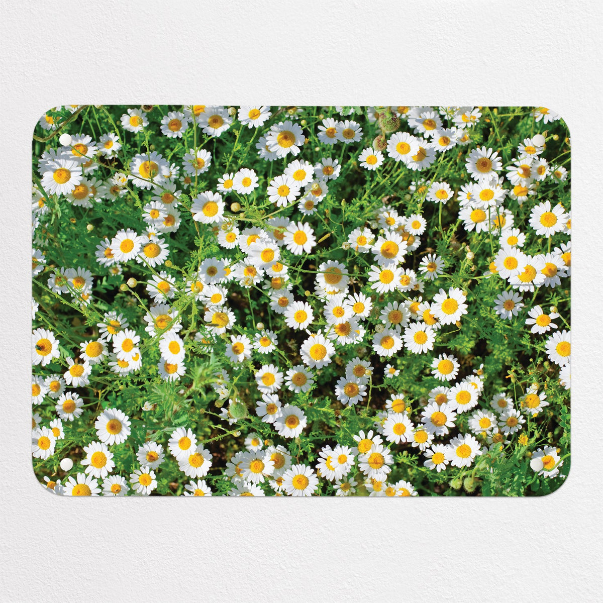 Daisies magnetic notice board in Daisies, small size, 55 × 40 cm
