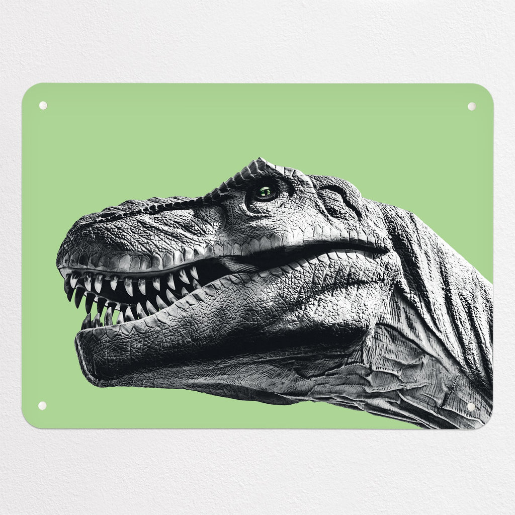 Dinosaur magnetic notice board in green, medium size, 75 × 55 cm