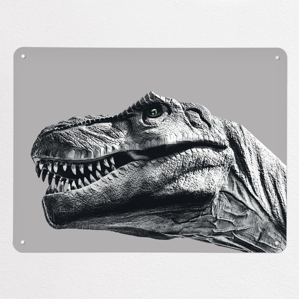 Dinosaur magnetic notice board in grey, large size, 100 × 75 cm