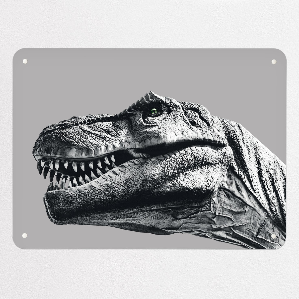 Dinosaur magnetic notice board in grey, medium size, 75 × 55 cm