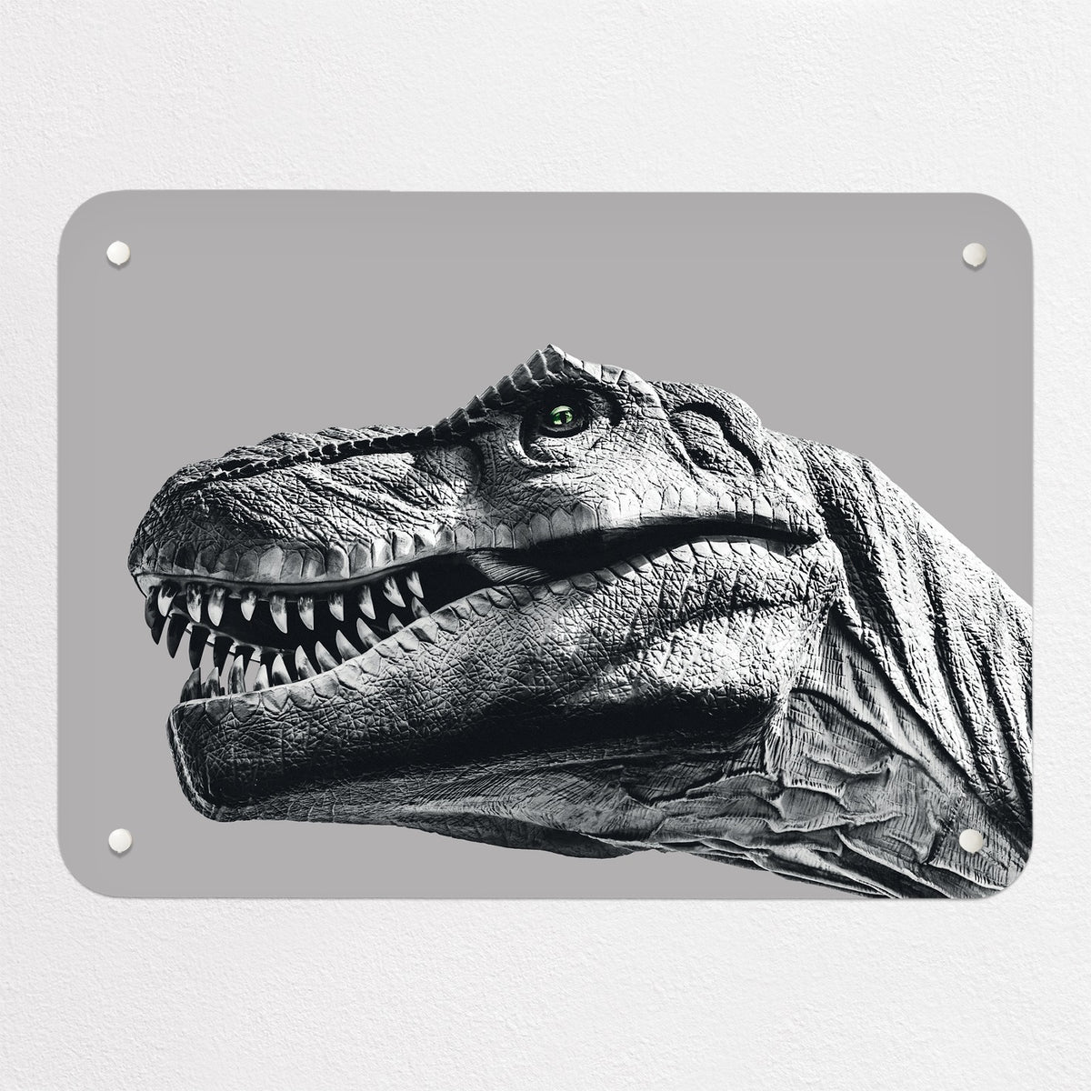 Dinosaur magnetic notice board in grey, small size, 55 × 40 cm