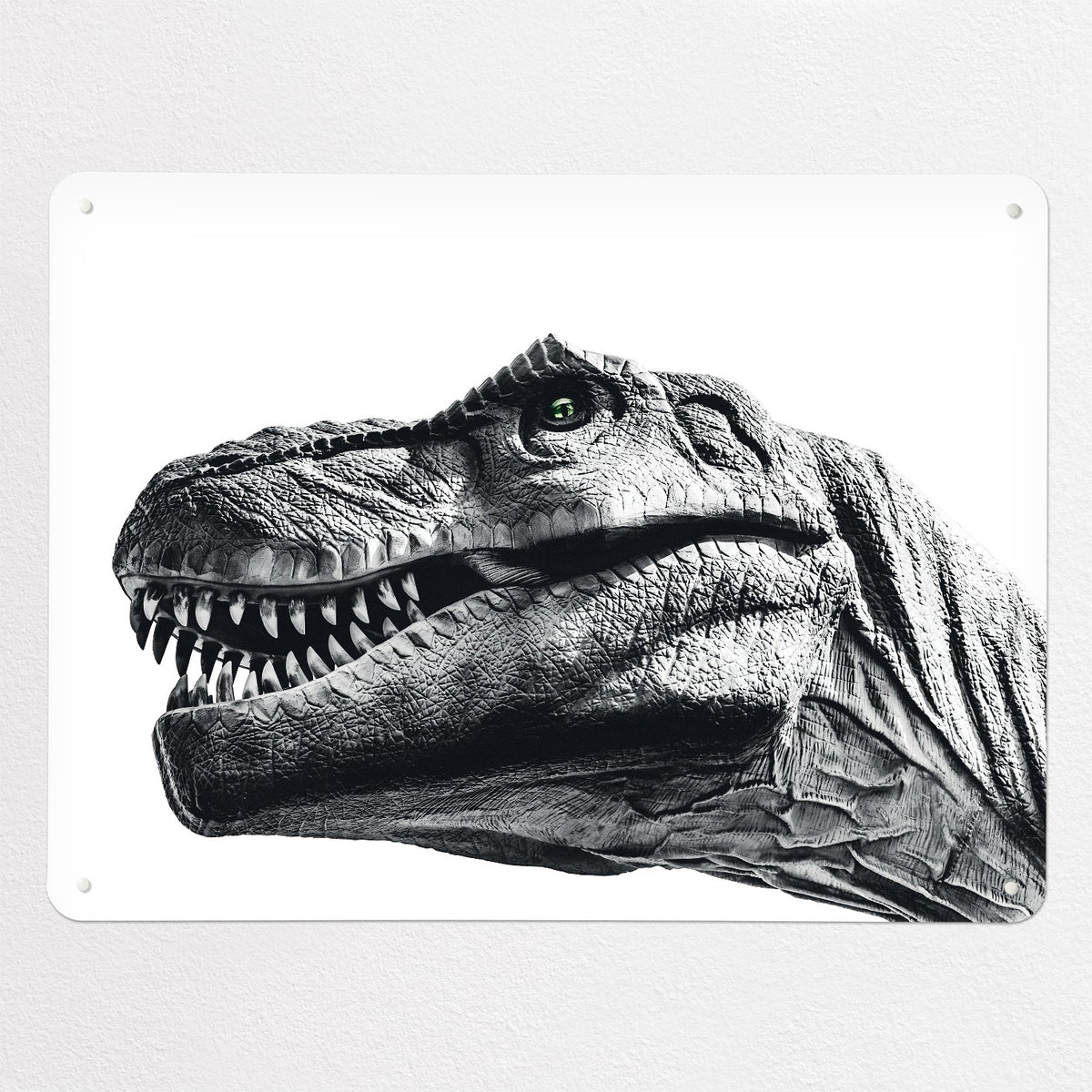 Dinosaur magnetic notice board in white, large size, 100 × 75 cm