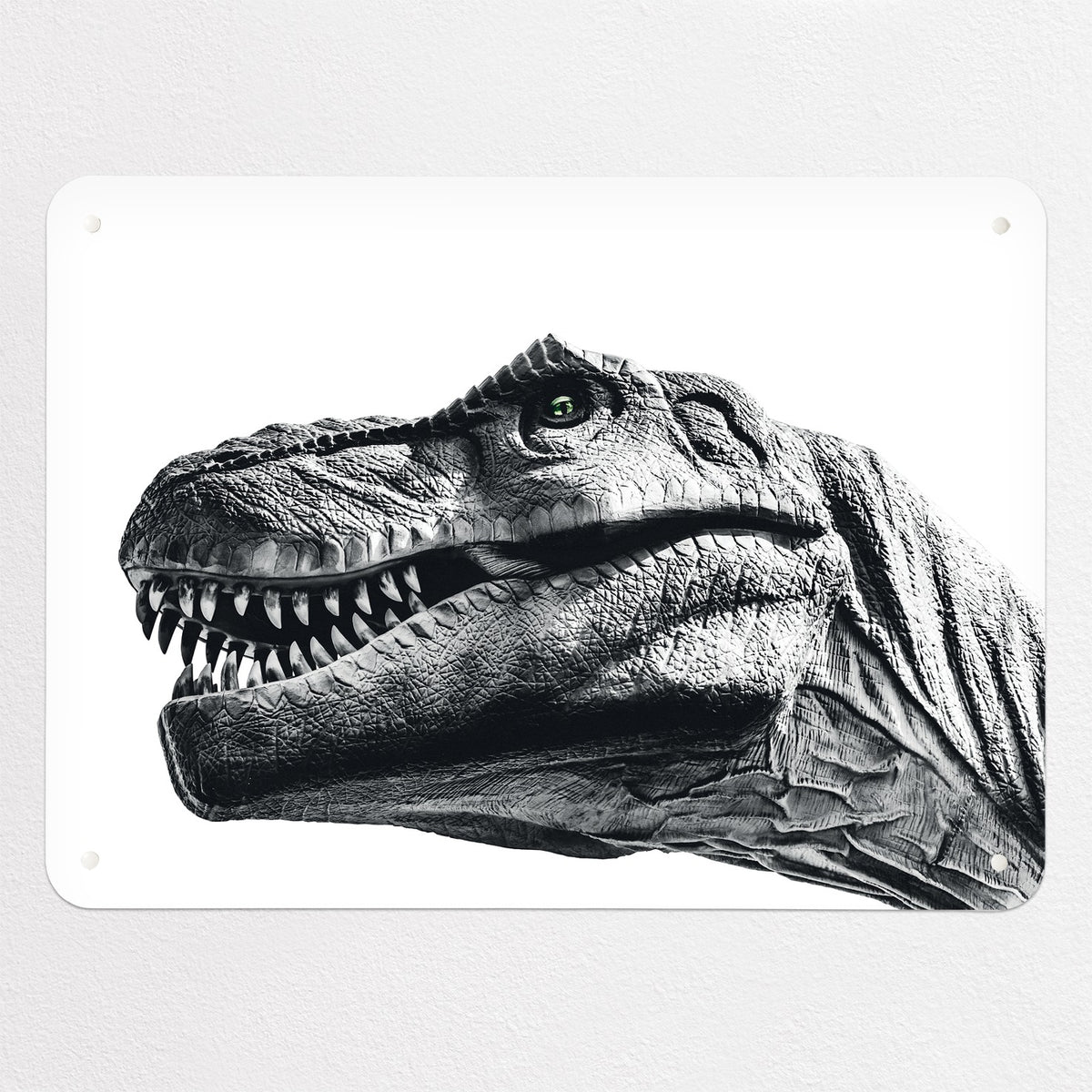 Dinosaur magnetic notice board in white, medium size, 75 × 55 cm