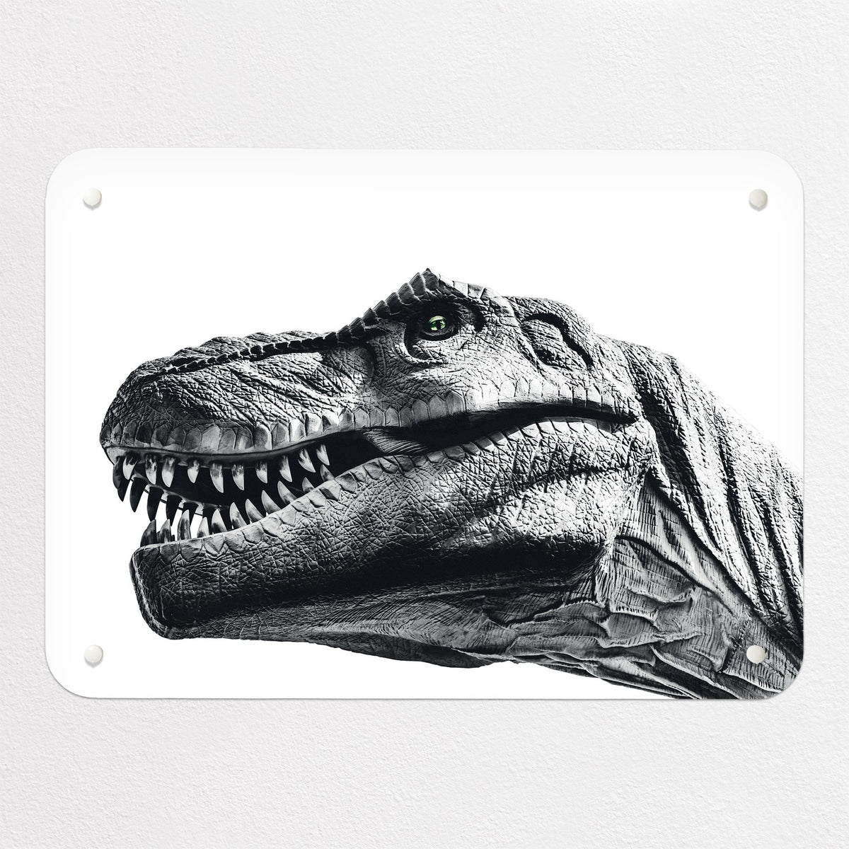 Dinosaur magnetic notice board in white, small size, 55 × 40 cm