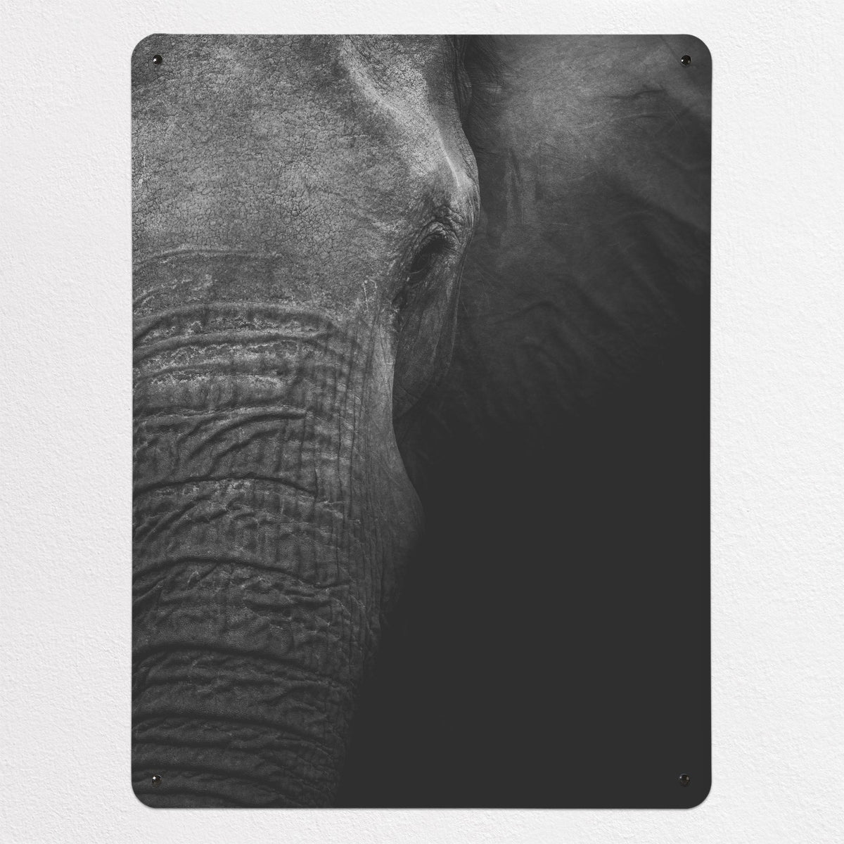 Elephant magnetic notice board, large size, 75 × 100 cm