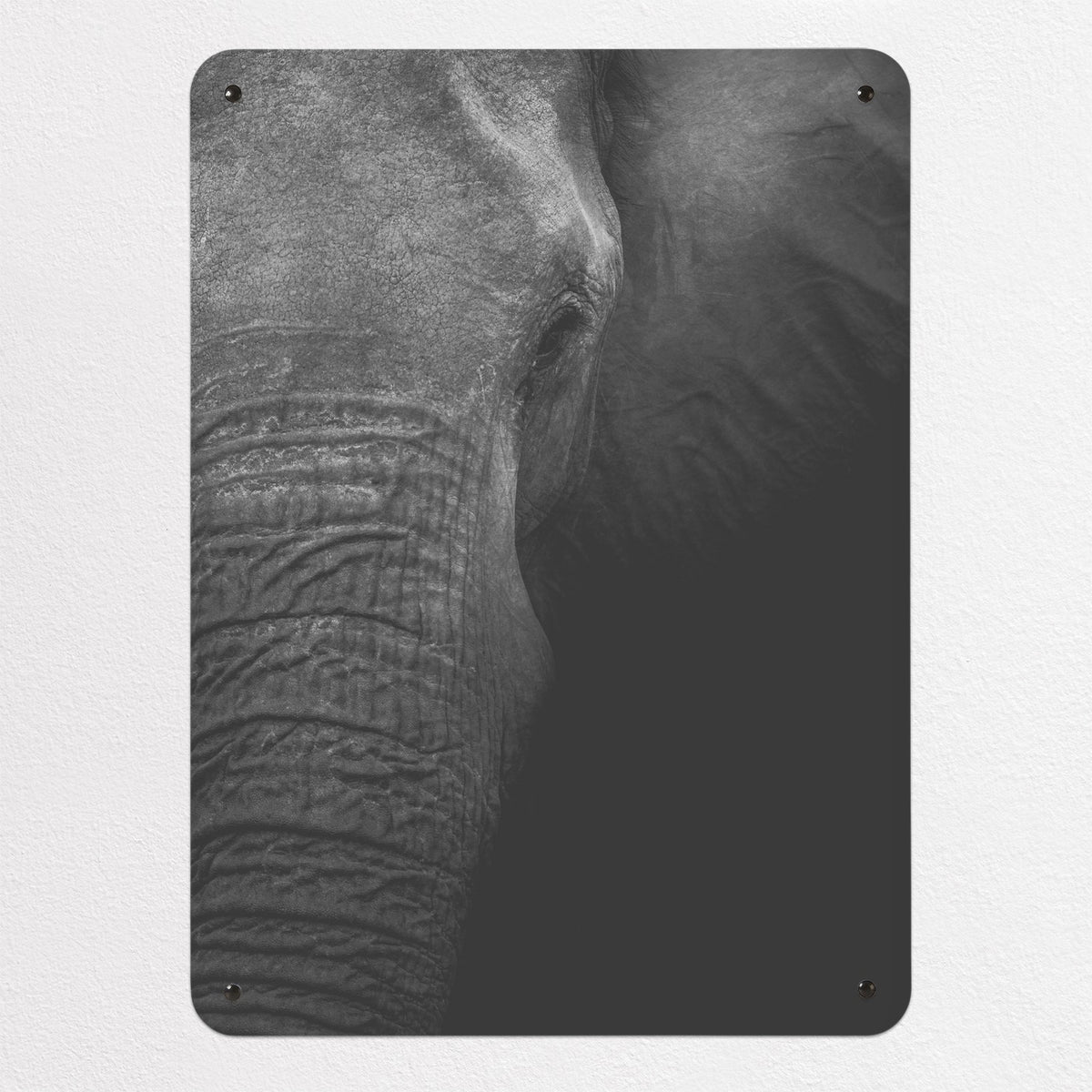 Elephant magnetic notice board, medium size, 55 × 75 cm