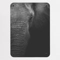 Elephant magnetic notice board, small size, 40 × 55 cm