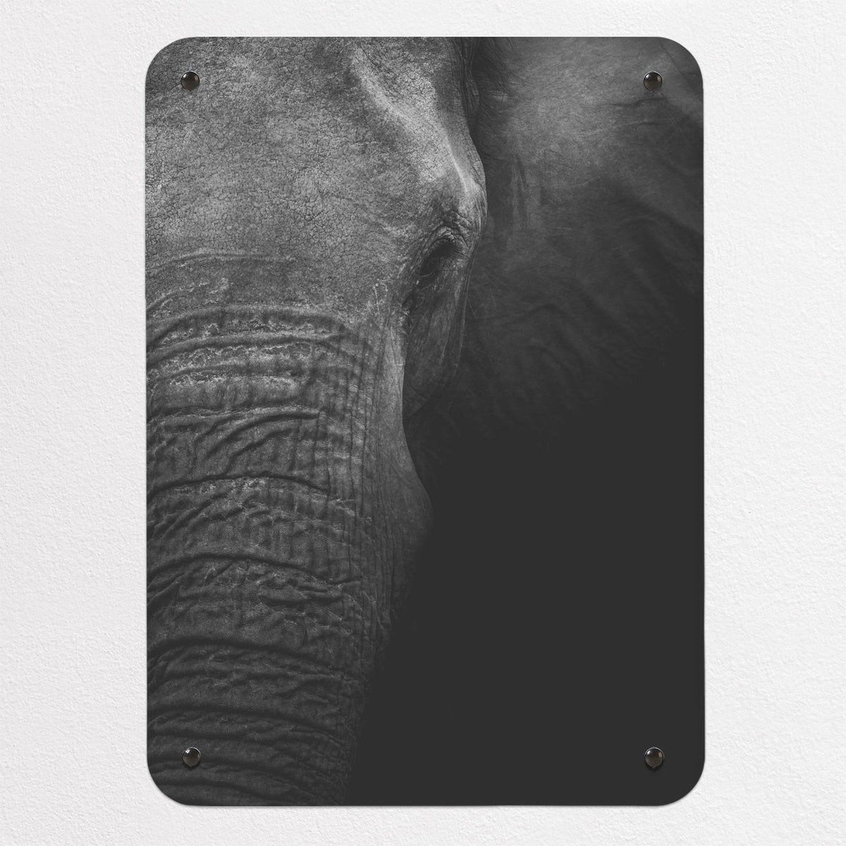 Elephant magnetic notice board, small size, 40 × 55 cm