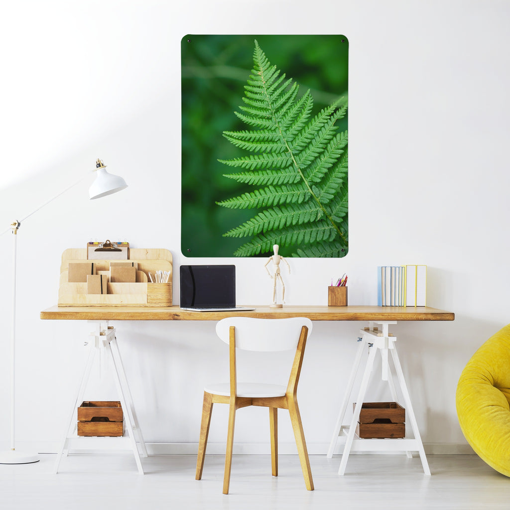 Fern magnetic notice board above a desk in a home office