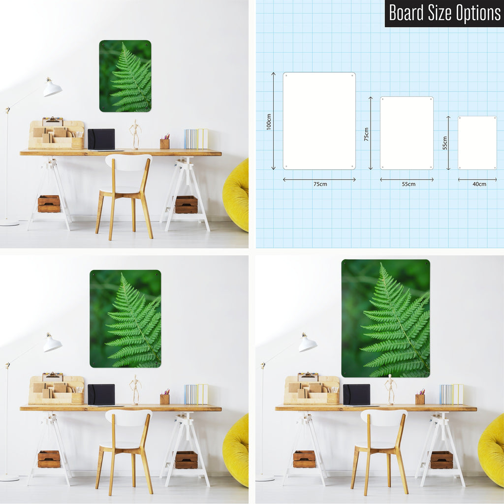 Fern magnetic notice board shown in small, medium and large, with the measurements of each