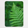 Fern magnetic notice board, small size, 40 × 55 cm