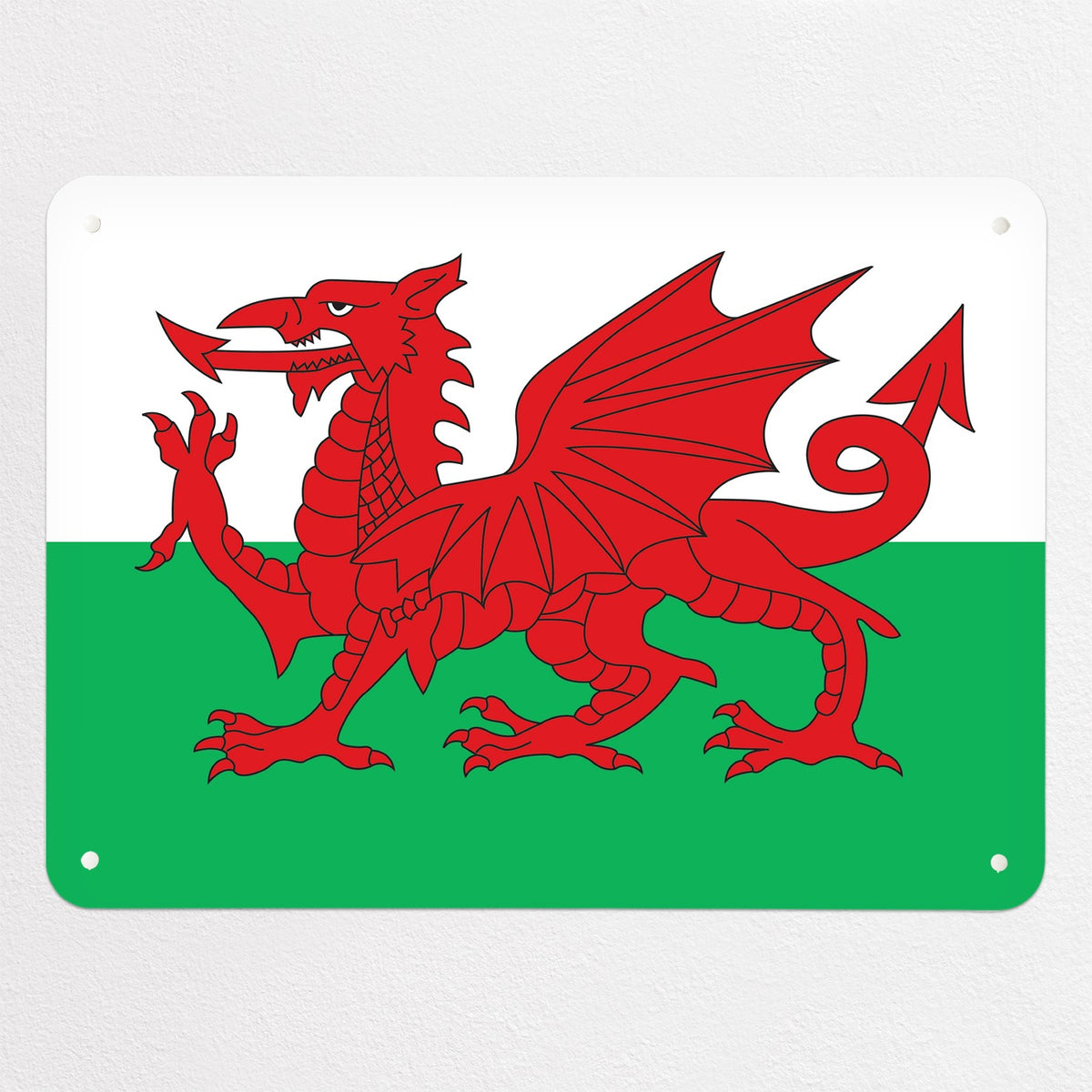 Flags magnetic notice board in Welsh Flag, medium size, 75 × 55 cm