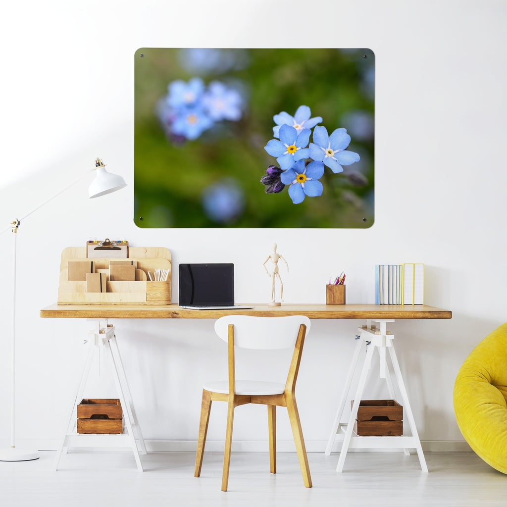 Forget Me Not magnetic notice board above a desk in a home office