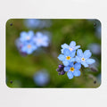 Forget Me Not magnetic notice board, small size, 55 × 40 cm